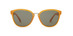  - Alternate Image 2
